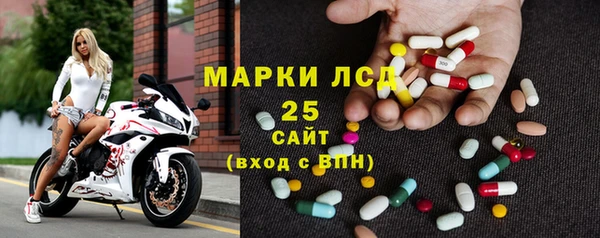 ECSTASY Богородицк